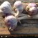 Sadbový česnek - návod na pěstování
